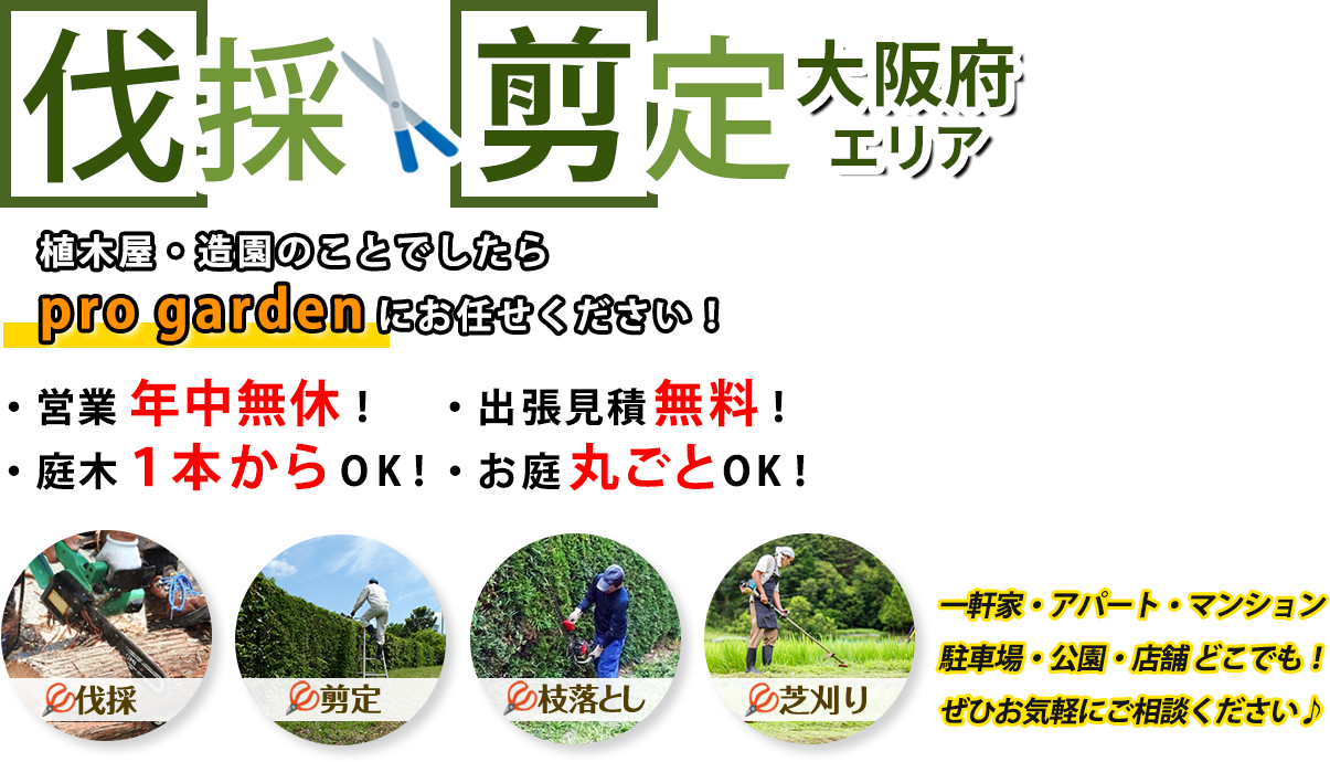 植木伐採、植木抜根、その他家の事なら何でも出来ます