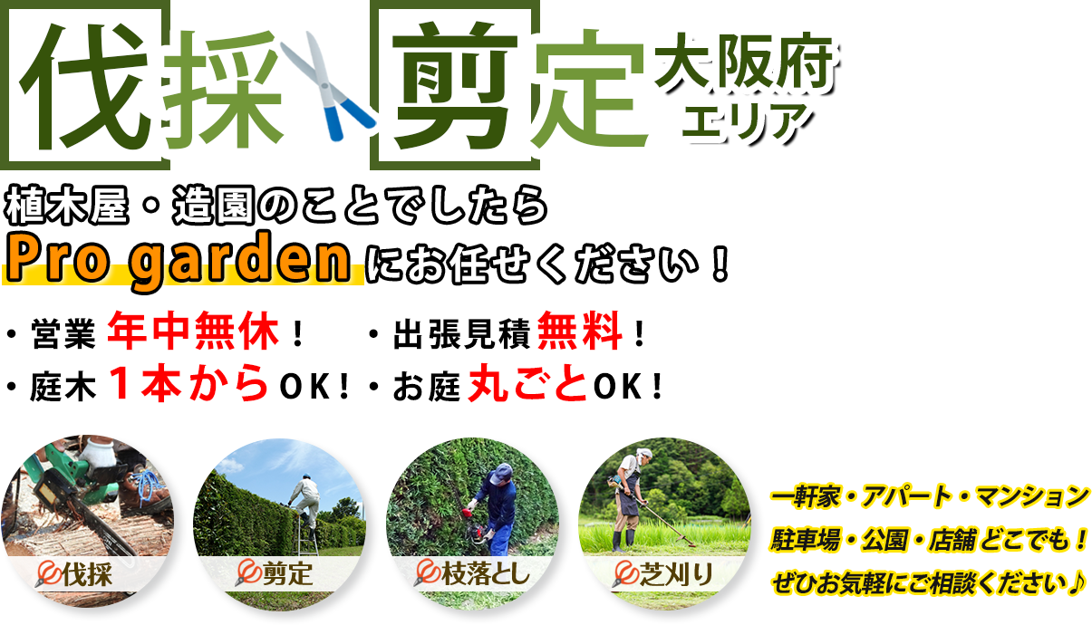 植木屋・造園のことでしたら代表 大橋颯太のPro garden大阪府エリアにお任せください！年中無休！出張見積もり無料！庭木１本からOK！